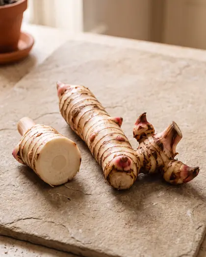 Galangal, from the foundations chapter.